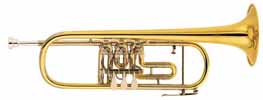 ROTARY TRUMPET